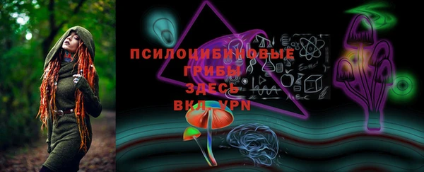 spice Володарск