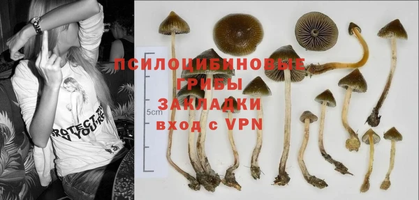 spice Володарск