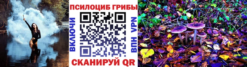 Псилоцибиновые грибы мухоморы  купить  сайты  Нижнекамск 